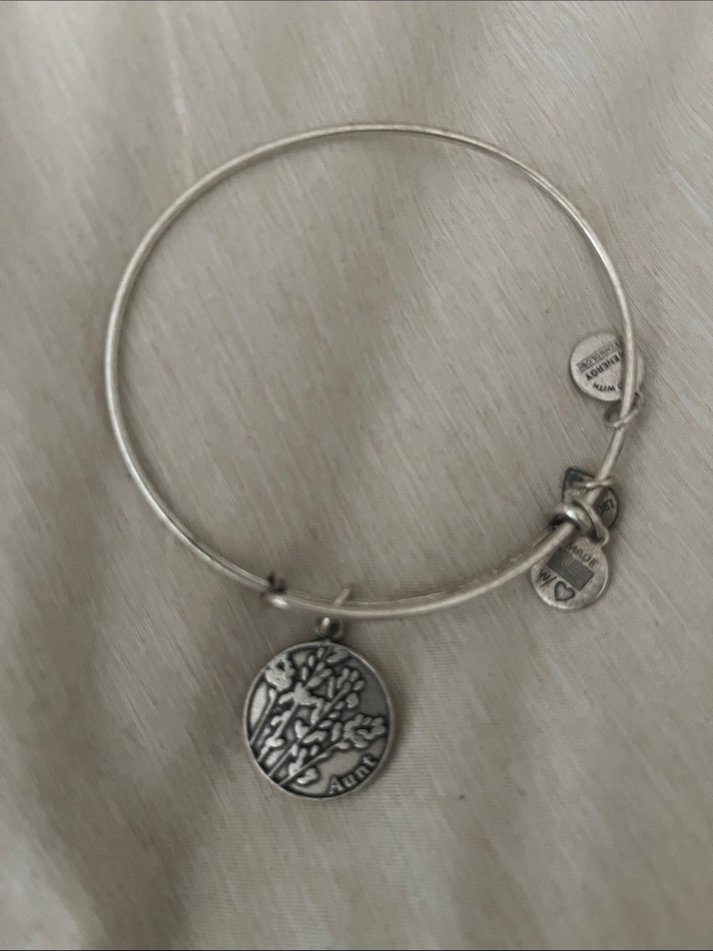 Alex and Ani Silver Aunt Charm Bangle Bracelet